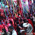 16 feb 2010
